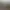 Vedere de pe balconul hotelului către o stradă umbrită de copaci și acoperișuri îndepărtate. - Vedere de pe balconul hotelului către o stradă umbrită de copaci și acoperișuri îndepărtate.