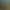 Htop Palm Beach