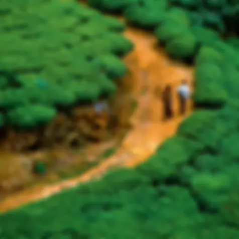 Sri Lanka — direction