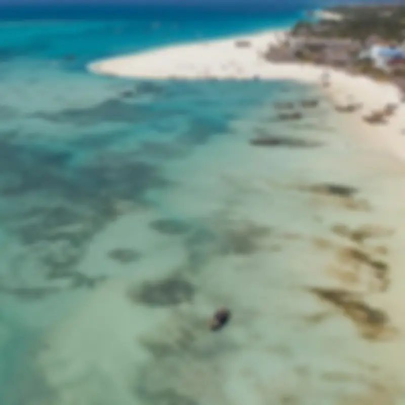 Zanzibar Est