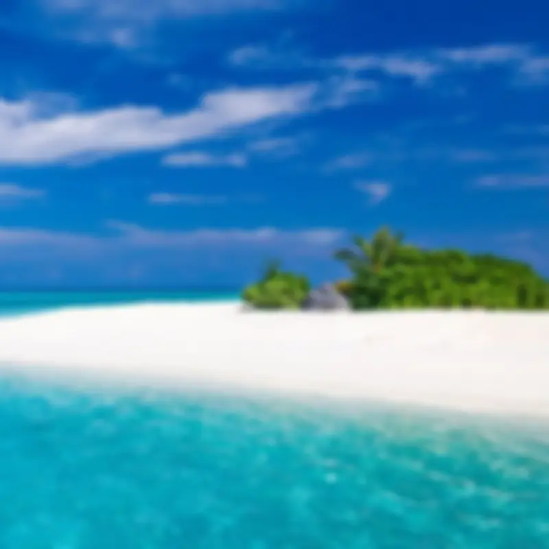 Zanzibar Sud-Est