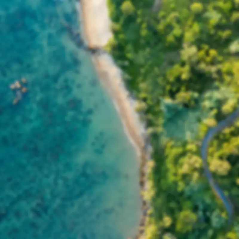 Vietnamul de Sud