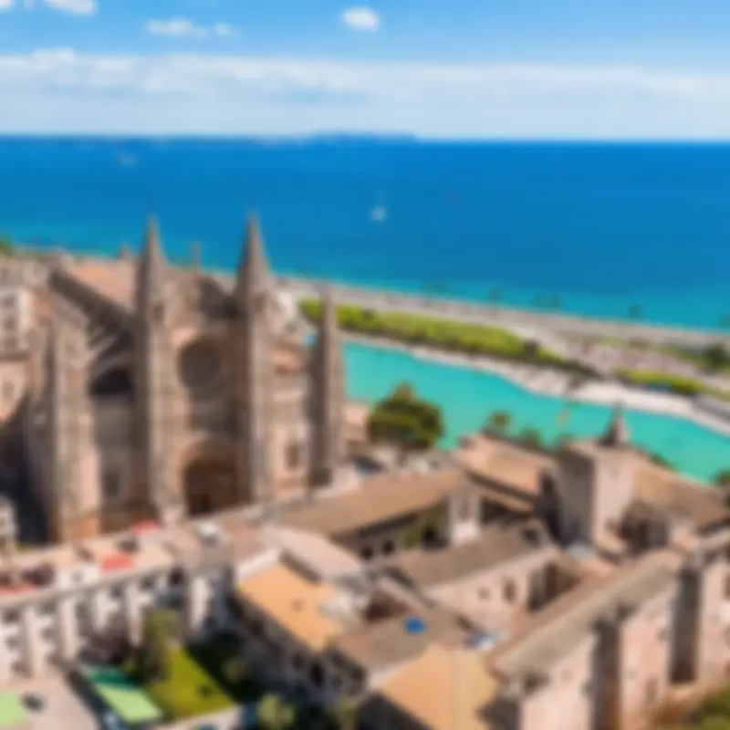 Palma de mallorca